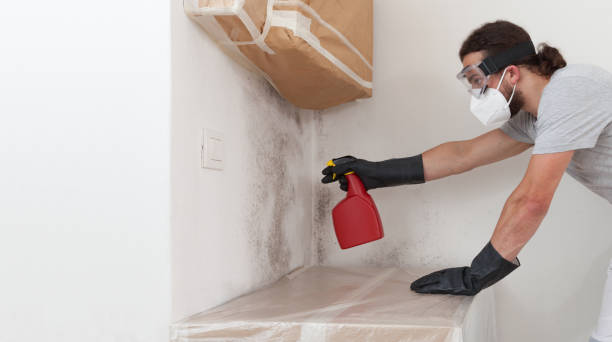Professional Mold Remediation technician working in Lignum, VA